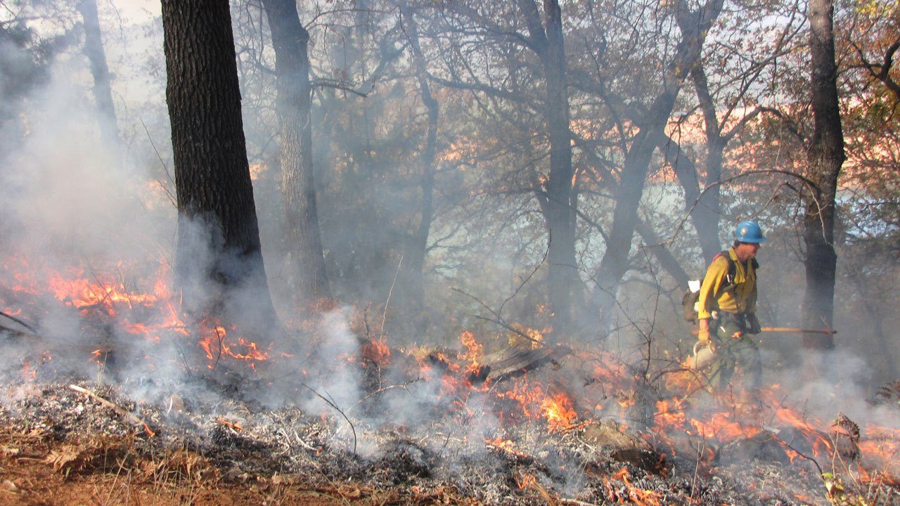 Prescribed burns awareness for bushwalkers Perth region Prescribed burns awareness for bushwalkers Perth region